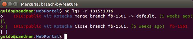 Komentáře při zavírání branche